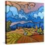 After the Storm-Don Tiller-Stretched Canvas