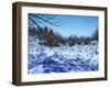 After the Storm-Rusty Frentner-Framed Giclee Print