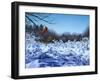 After the Storm-Rusty Frentner-Framed Giclee Print