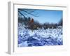 After the Storm-Rusty Frentner-Framed Giclee Print