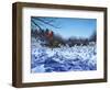 After the Storm-Rusty Frentner-Framed Giclee Print