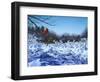 After the Storm-Rusty Frentner-Framed Giclee Print