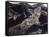 After the Storm-Gordon Semmens-Framed Stretched Canvas