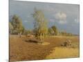 Wood Mount