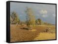 Canvas Black