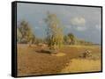 Canvas Black