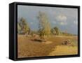 Canvas Black