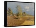 Canvas Black
