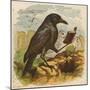 After the Unfortunate Death of Cock Robin, the Rook Reads the Burial Service-null-Mounted Art Print