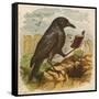 After the Unfortunate Death of Cock Robin, the Rook Reads the Burial Service-null-Framed Stretched Canvas