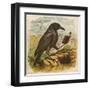 After the Unfortunate Death of Cock Robin, the Rook Reads the Burial Service-null-Framed Art Print