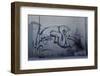 After Trapped in an Empty Shed, Badger (Meles Meles) Passes Graffiti on its Return to the Forest-Klaus Echle-Framed Photographic Print