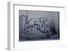 After Trapped in an Empty Shed, Badger (Meles Meles) Passes Graffiti on its Return to the Forest-Klaus Echle-Framed Photographic Print