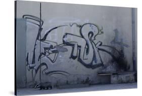 After Trapped in an Empty Shed, Badger (Meles Meles) Passes Graffiti on its Return to the Forest-Klaus Echle-Stretched Canvas