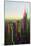 After Twitch NYC - Empire State Building-Philippe Hugonnard-Mounted Photographic Print
