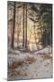 Afterglow-Joseph Farquharson-Mounted Giclee Print