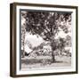 Aftermath of a Hurricane, Tahiti, Late 1800s-Charles Gustave Spitz-Framed Photographic Print