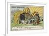 Aftermath of the Flight of the Balloon Zenith, Paris, 1875-null-Framed Giclee Print