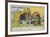 Aftermath of the Flight of the Balloon Zenith, Paris, 1875-null-Framed Giclee Print