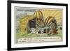 Aftermath of the Flight of the Balloon Zenith, Paris, 1875-null-Framed Giclee Print