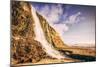 Afternoon at Alamere Falls, Point Reyes, Marin County, California-Vincent James-Mounted Photographic Print