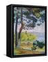 Afternoon at Pardigon-Henri Edmond Cross-Framed Stretched Canvas