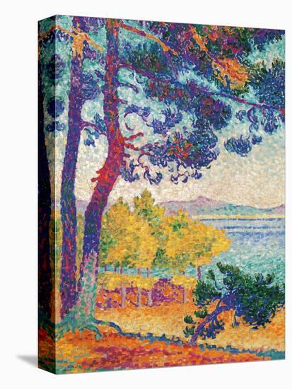 Afternoon at Pardigon-Henri Edmond Cross-Stretched Canvas