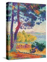 Afternoon at Pardigon-Henri Edmond Cross-Stretched Canvas