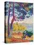 Afternoon at Pardigon-Henri Edmond Cross-Stretched Canvas