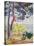 Afternoon at Pardigon-Henri Edmond Cross-Stretched Canvas