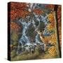 Afternoon at Sanctuary Falls-John Van Straalen-Stretched Canvas