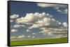 Afternoon clouds above rolling hills of wheat, Palouse region of Eastern Washington State.-Adam Jones-Framed Stretched Canvas