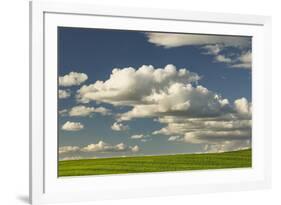 Afternoon clouds above rolling hills of wheat, Palouse region of Eastern Washington State.-Adam Jones-Framed Photographic Print