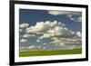 Afternoon clouds above rolling hills of wheat, Palouse region of Eastern Washington State.-Adam Jones-Framed Photographic Print