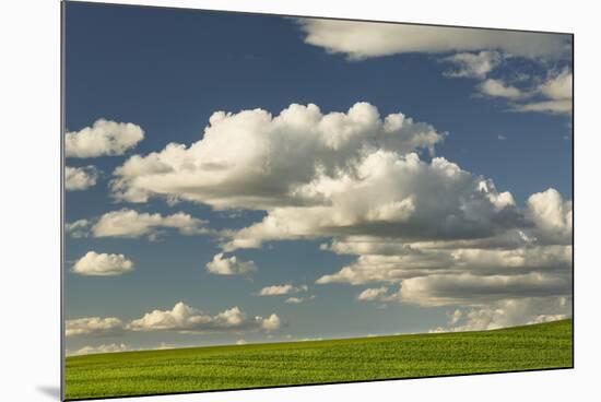 Afternoon clouds above rolling hills of wheat, Palouse region of Eastern Washington State.-Adam Jones-Mounted Photographic Print