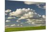 Afternoon clouds above rolling hills of wheat, Palouse region of Eastern Washington State.-Adam Jones-Mounted Photographic Print