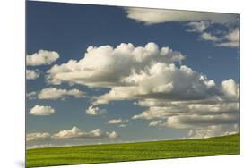 Afternoon clouds above rolling hills of wheat, Palouse region of Eastern Washington State.-Adam Jones-Mounted Photographic Print