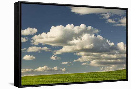 Afternoon clouds above rolling hills of wheat, Palouse region of Eastern Washington State.-Adam Jones-Framed Stretched Canvas