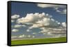 Afternoon clouds above rolling hills of wheat, Palouse region of Eastern Washington State.-Adam Jones-Framed Stretched Canvas