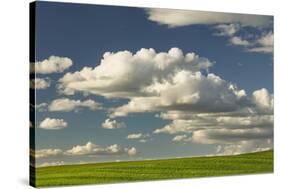 Afternoon clouds above rolling hills of wheat, Palouse region of Eastern Washington State.-Adam Jones-Stretched Canvas