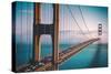 Afternoon Crossing, Golden Gate Bridge - San Francisco-Vincent James-Stretched Canvas