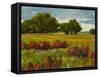 Afternoon Fields 1-Patty Baker-Framed Stretched Canvas