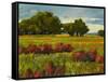 Afternoon Fields 1-Patty Baker-Framed Stretched Canvas