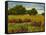 Afternoon Fields 1-Patty Baker-Framed Stretched Canvas