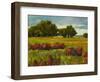 Afternoon Fields 1-Patty Baker-Framed Art Print