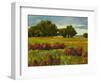 Afternoon Fields 1-Patty Baker-Framed Art Print