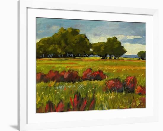 Afternoon Fields 1-Patty Baker-Framed Art Print