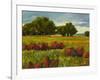 Afternoon Fields 1-Patty Baker-Framed Art Print