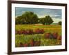 Afternoon Fields 1-Patty Baker-Framed Art Print