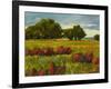 Afternoon Fields 1-Patty Baker-Framed Art Print